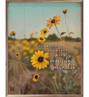 Everyday Miracles By Bonnie Mohr